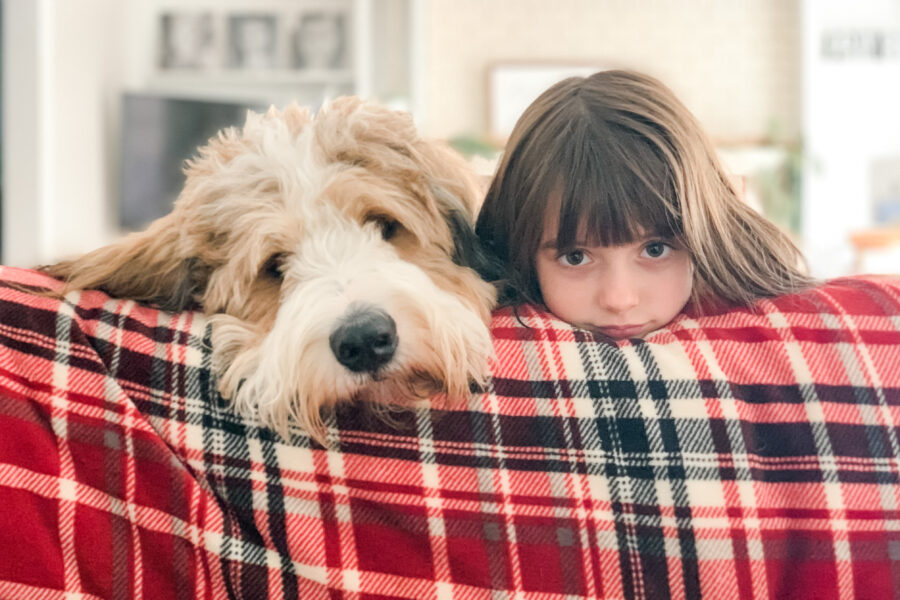 bernedoodle and little girl laying on couch